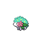 Shiny Shaymin